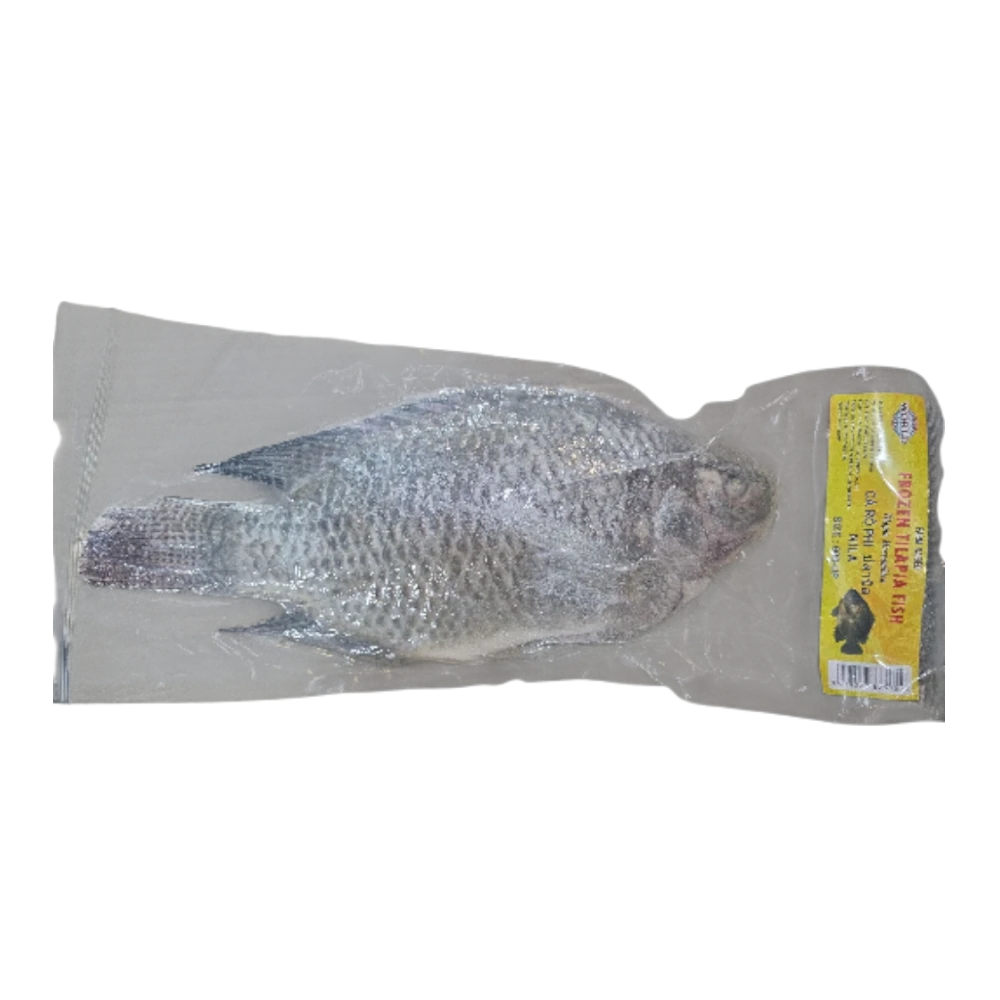 TILAPIA 600G UP